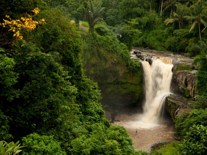пейзаж, лес, водопад, бали, индонезия