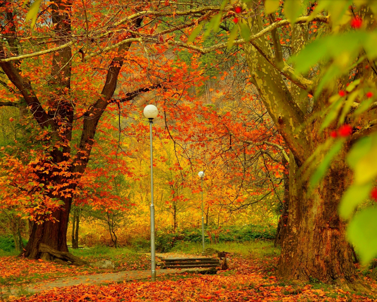 парк, фонари, осень, листопад