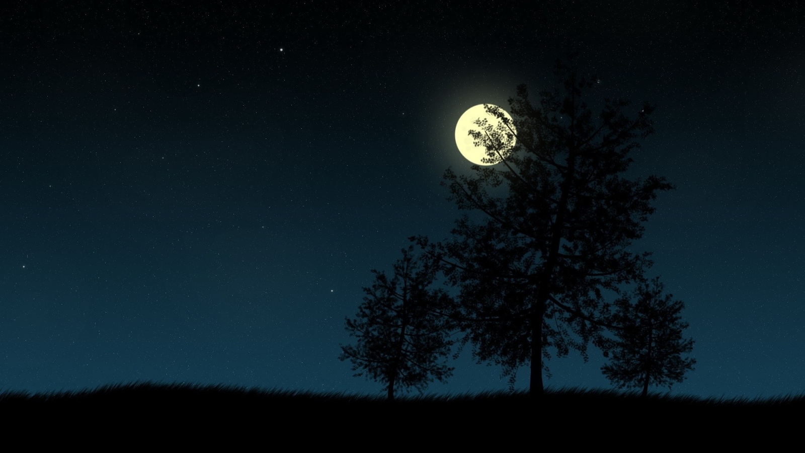 ночь, луна, дерево