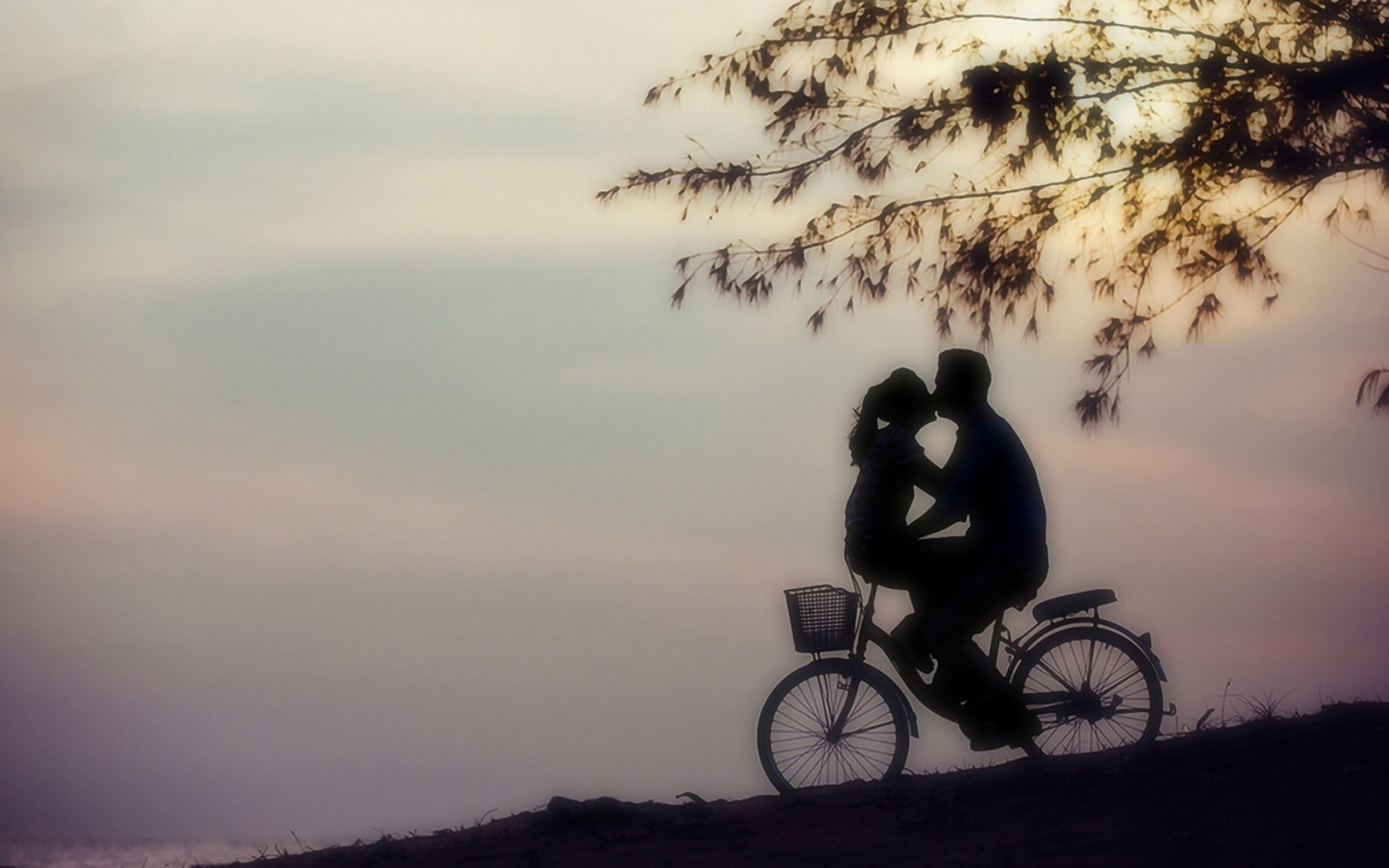 двое, влюблённые, едут на велосипеде