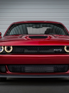 auto, dodge challenger srt