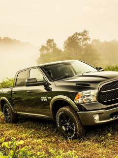 auto, dodge ram, truck