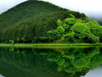 природа, гора, озеро, лес