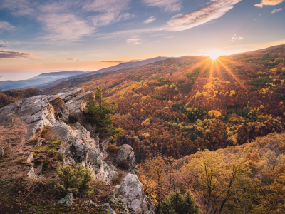 пейзаж, природа, красота