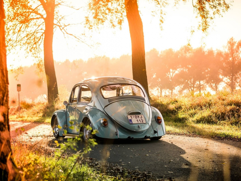 auto, volkswagen beatle