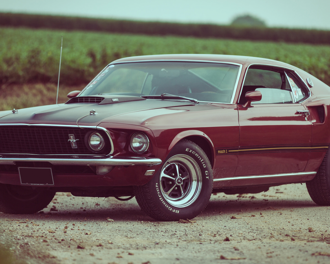 auto, ford mustang