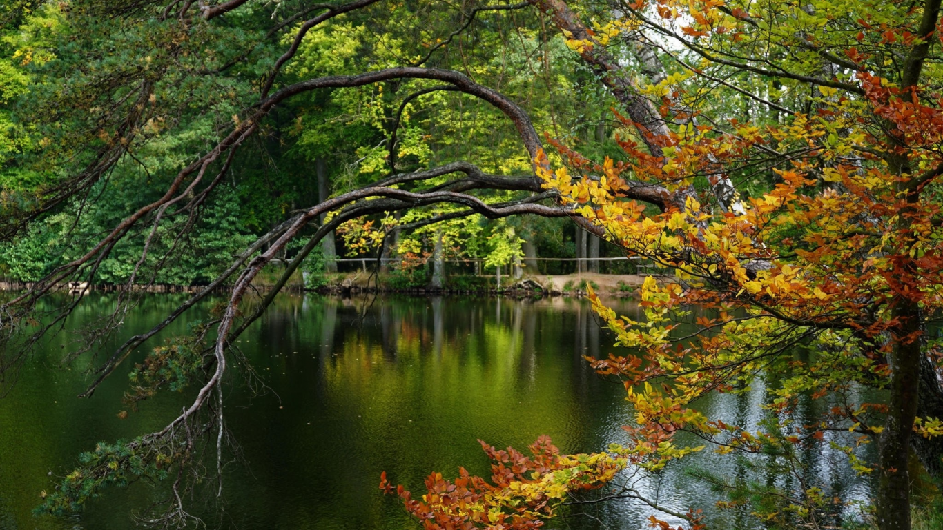 пейзаж, природа, красота