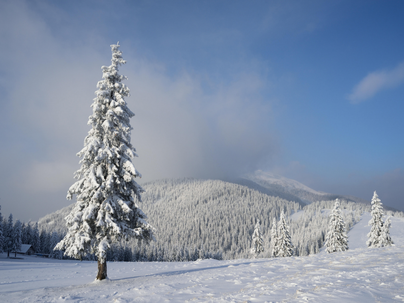 зима, снег, деревья, сугробы