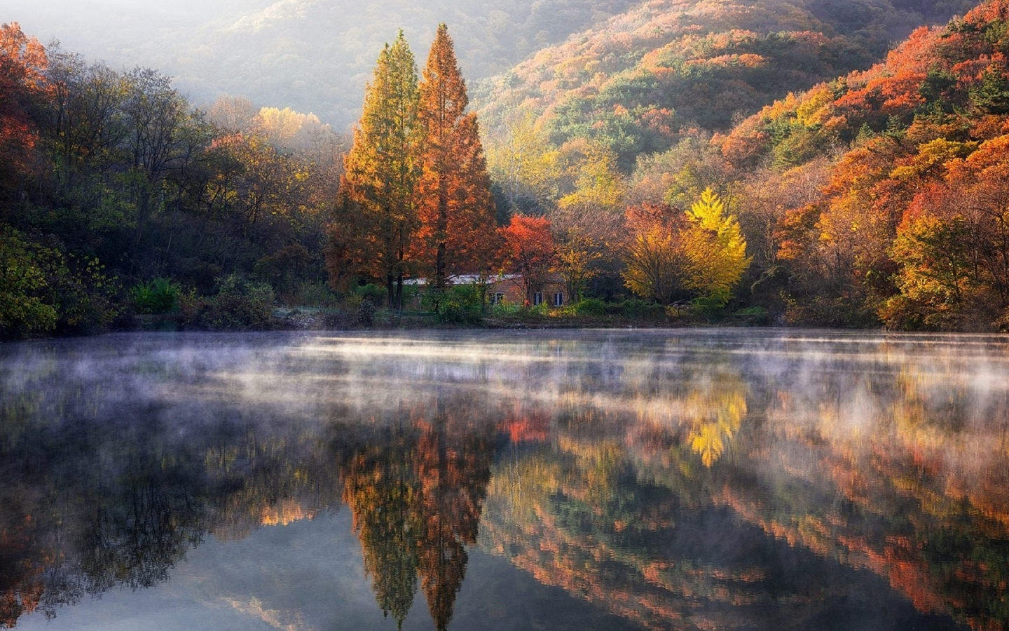 озеро, туман, лес, осень