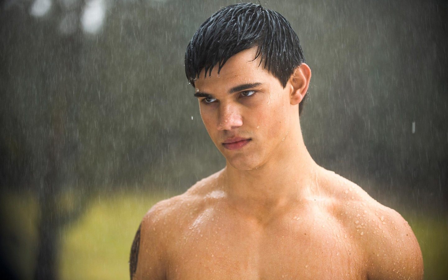 актёр, taylor lautner