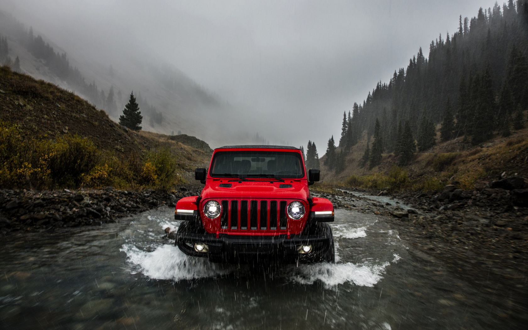 auto, jeep wrangler