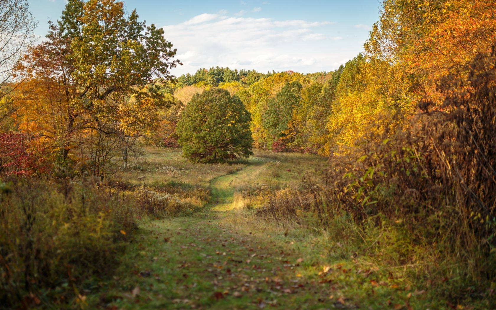 пейзаж, природа, красота