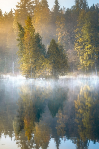 озеро, лес, туман