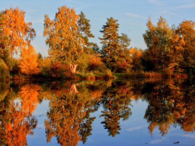 озеро, деревья, осень