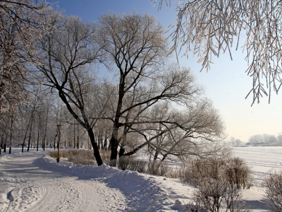 зима, дорога, деревья, снег