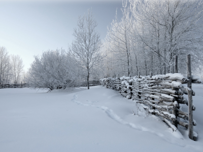 зима, снег, деревья, забор