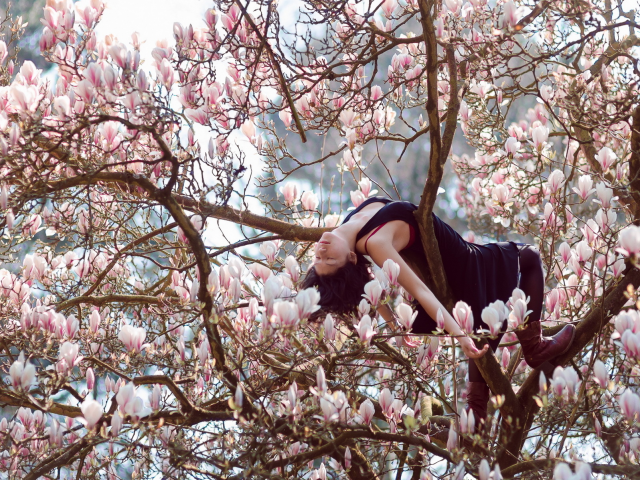 девушка, лежит в ветвях дерева