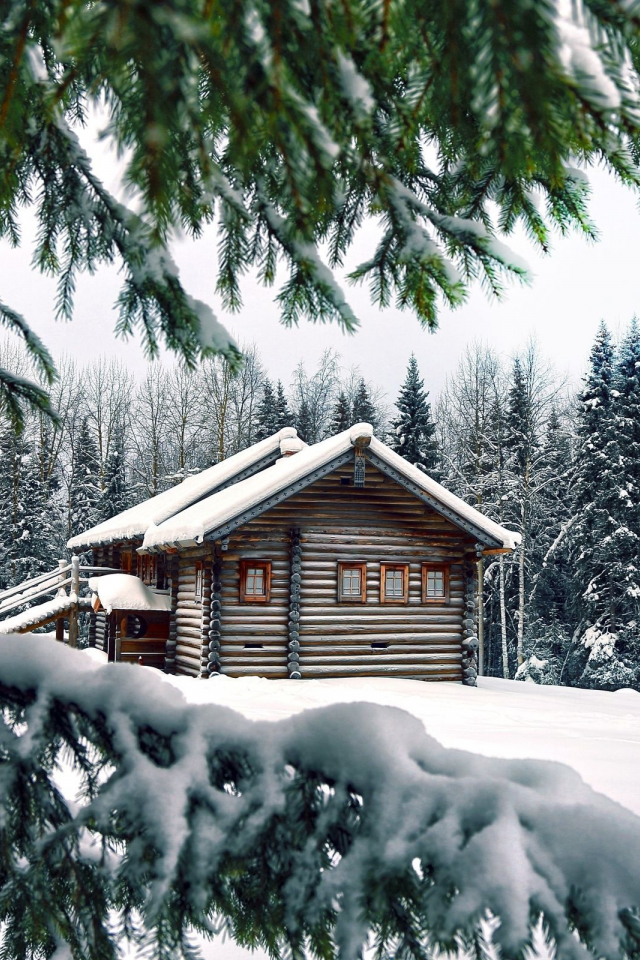 зима, снег, деревья, дом