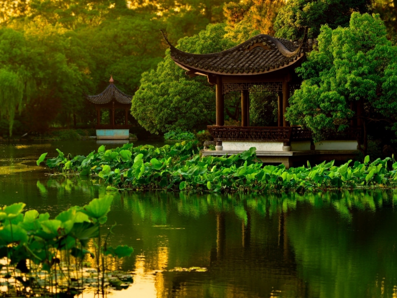 озеро, парк, деревья, пагода