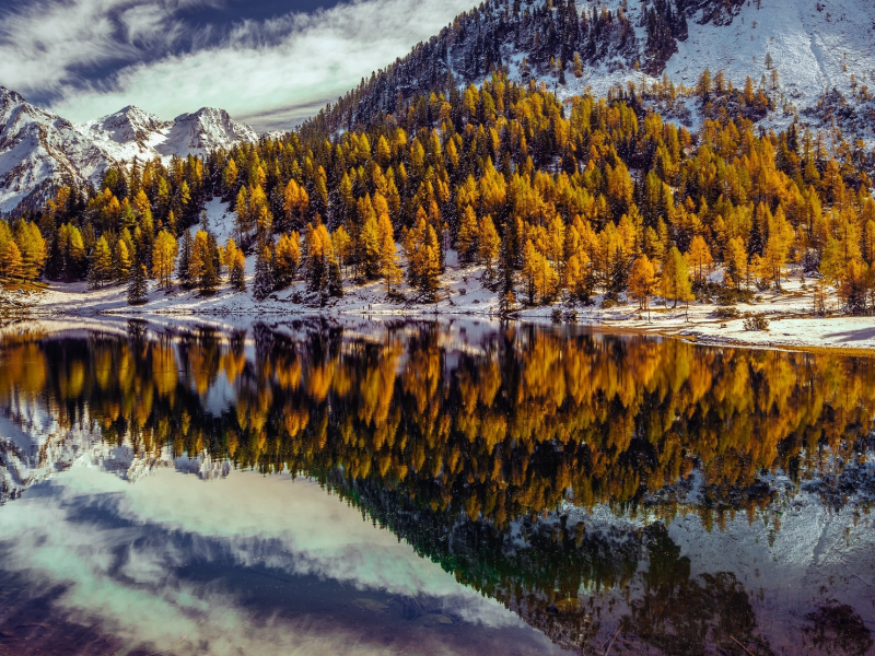озеро, лес, деревья в горах, осень