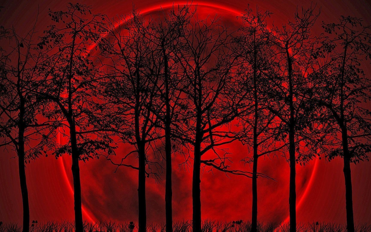 деревья, луна, кровавая
