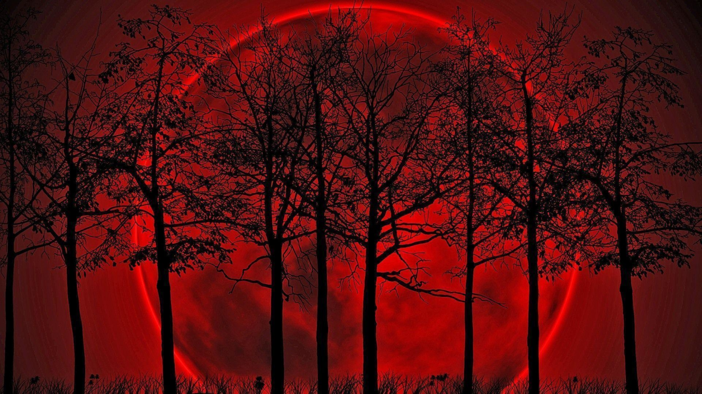 деревья, луна, кровавая