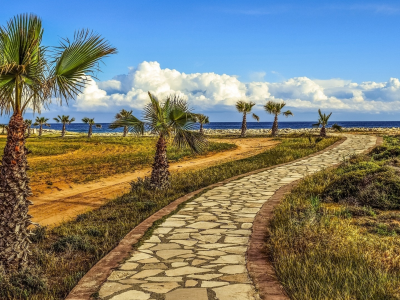 landscape, palm trees, footpath, sea, sky, nature