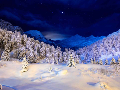 nature, landscape, winter, night, snow, forest