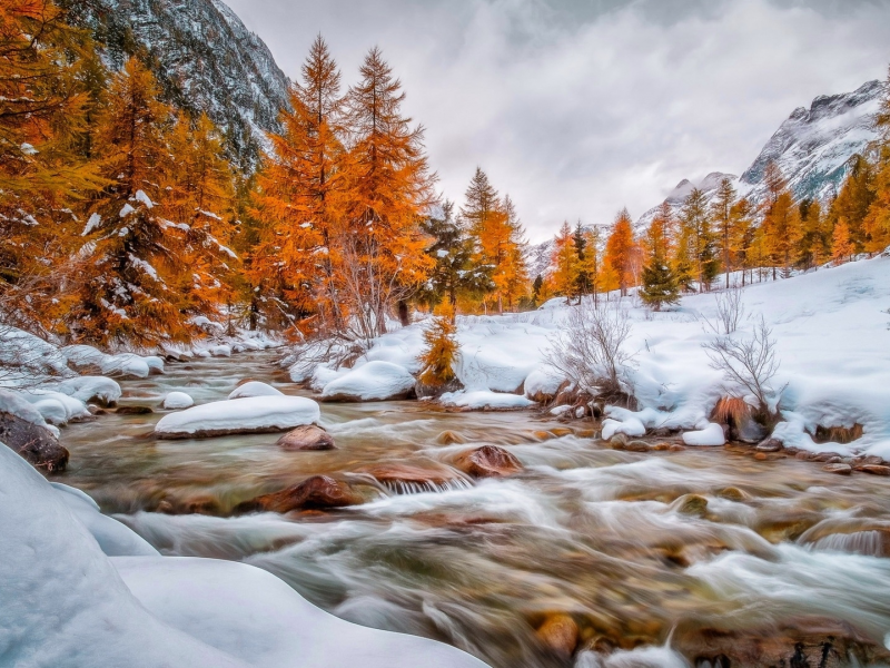 nature, mountains, snow, forest, river