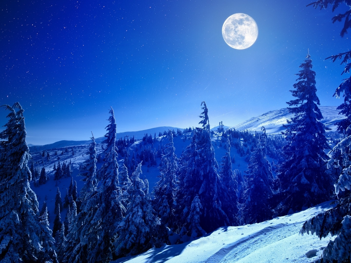 landscape, nature, mountains, forest, night, moon, snow