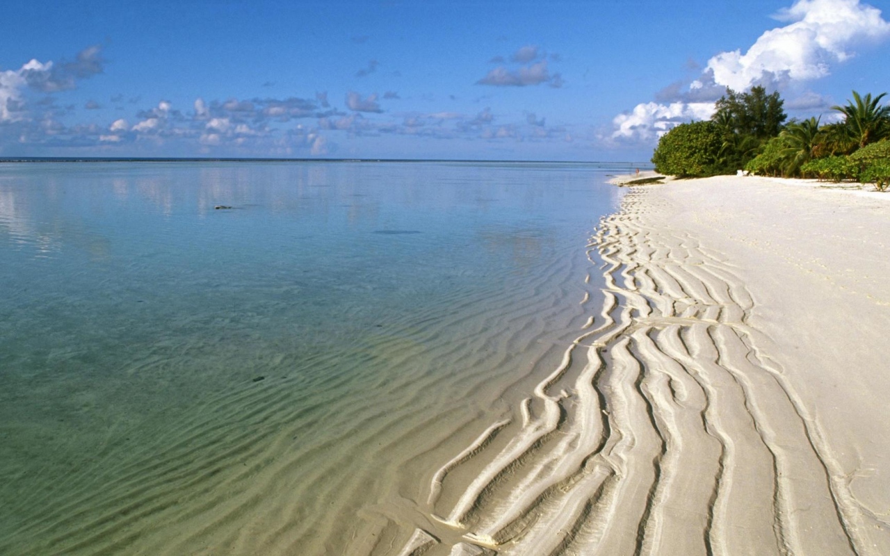 nature, sea, beach, sand