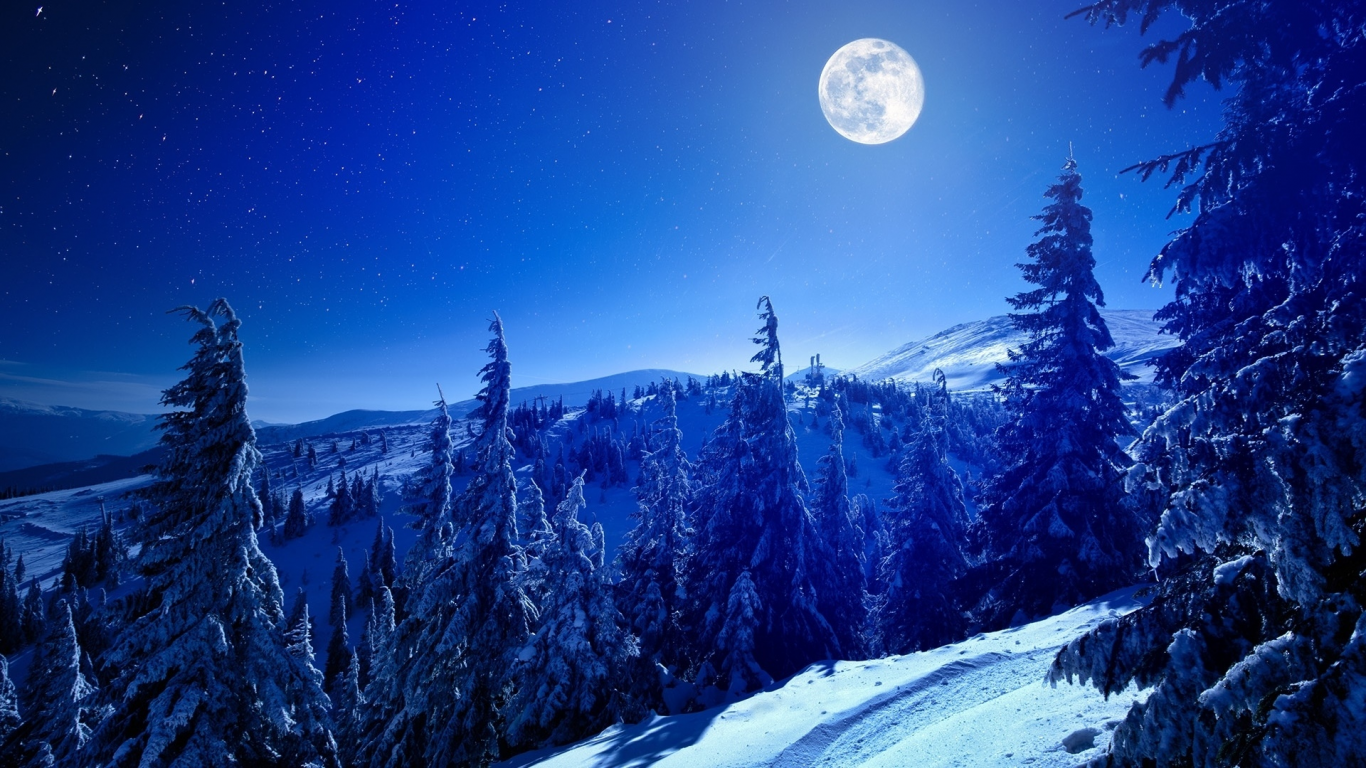 landscape, nature, mountains, forest, night, moon, snow