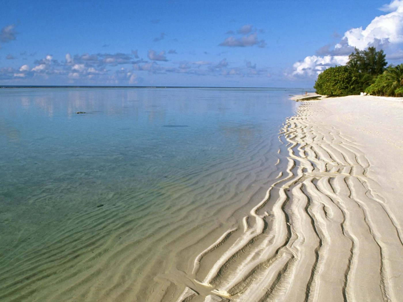 nature, sea, beach, sand