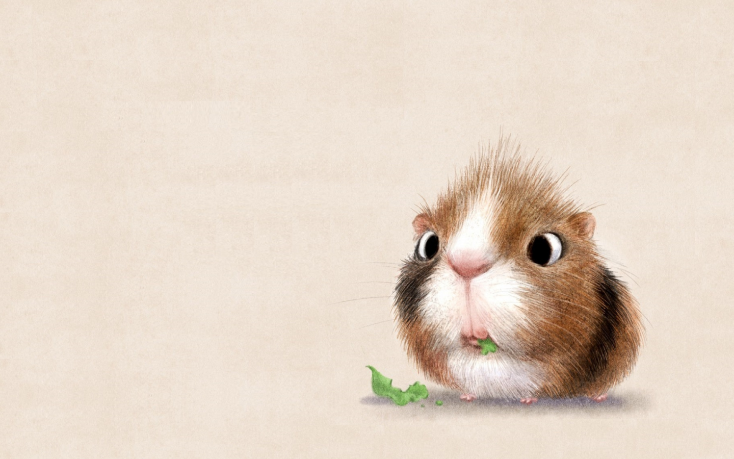 animal, guinea pig, drawing