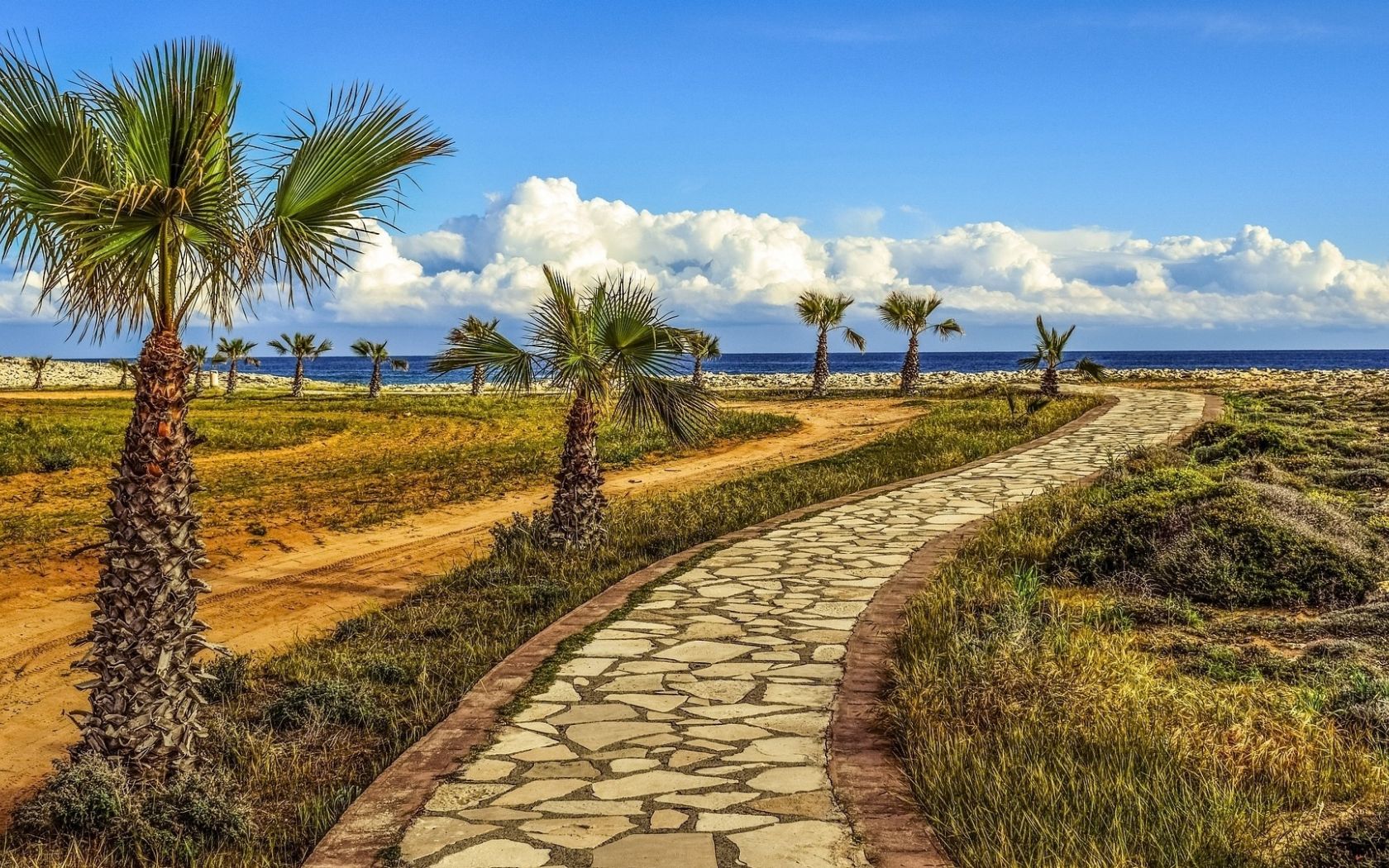 landscape, nature, palm trees, path, sea, shore
