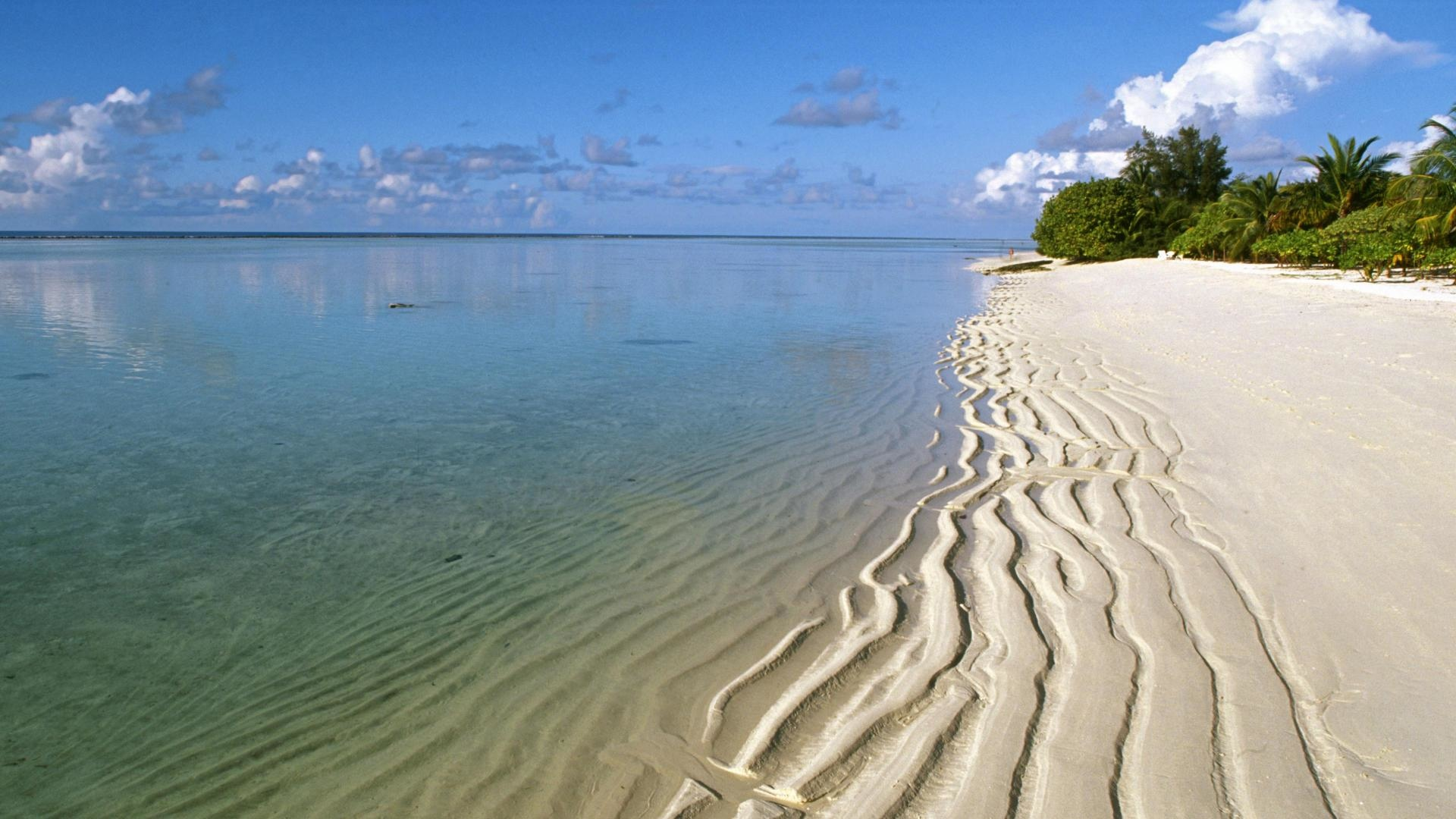 nature, sea, beach, sand