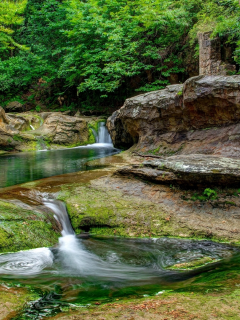 landscape, nature, forest, river, waterfall