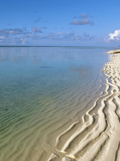 nature, sea, beach, sand