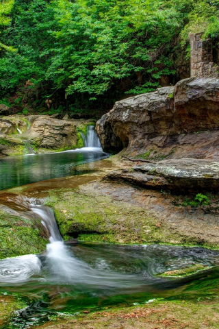 landscape, nature, forest, river, waterfall