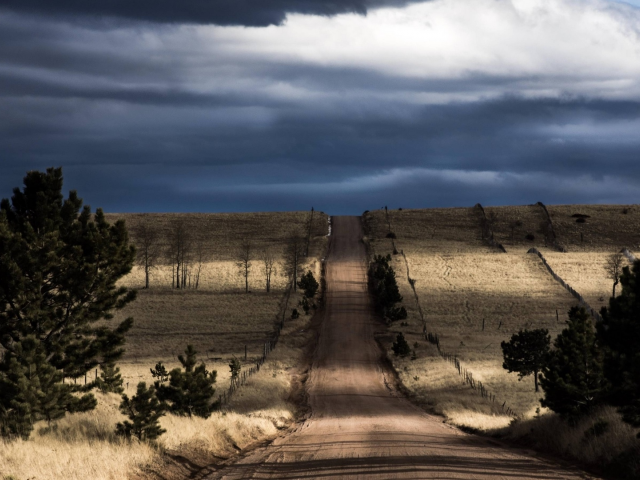 landscape, nature, field, tree, road, sky