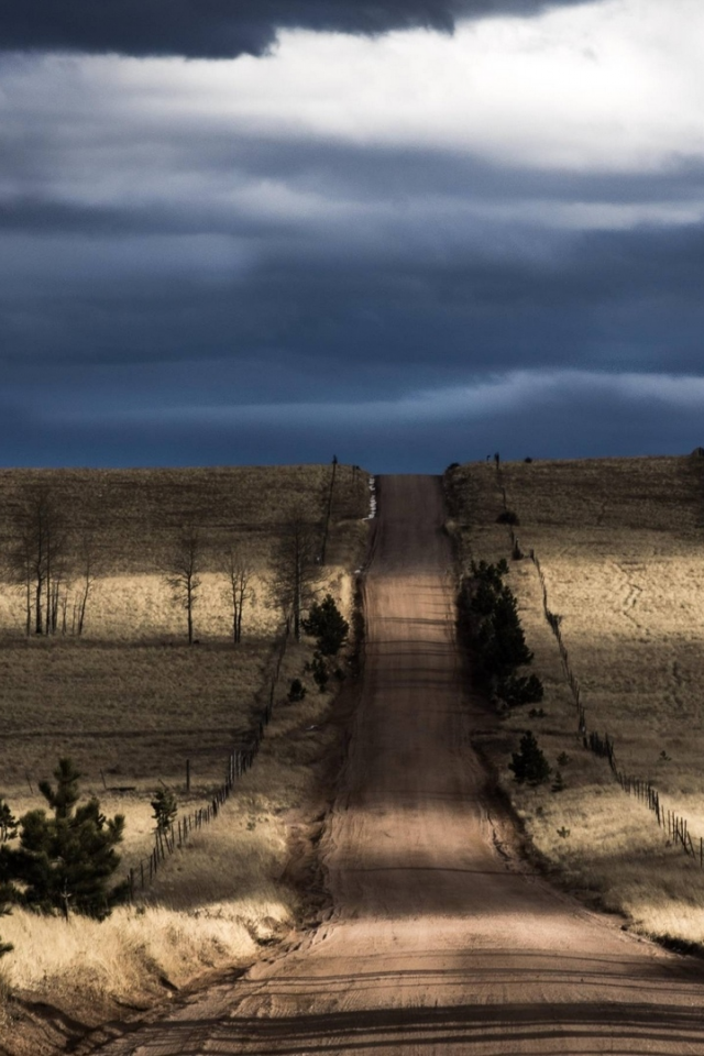 landscape, nature, field, tree, road, sky