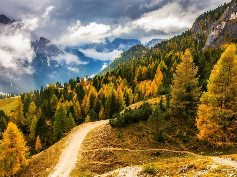 nature, forest, mountains, road