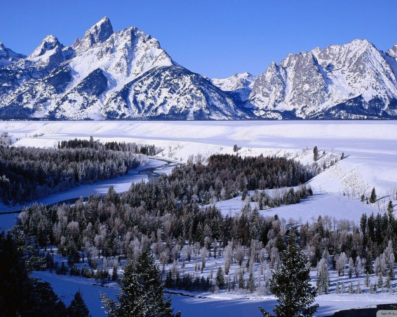 landscape, nature, forest, mountains, river, winter, snow