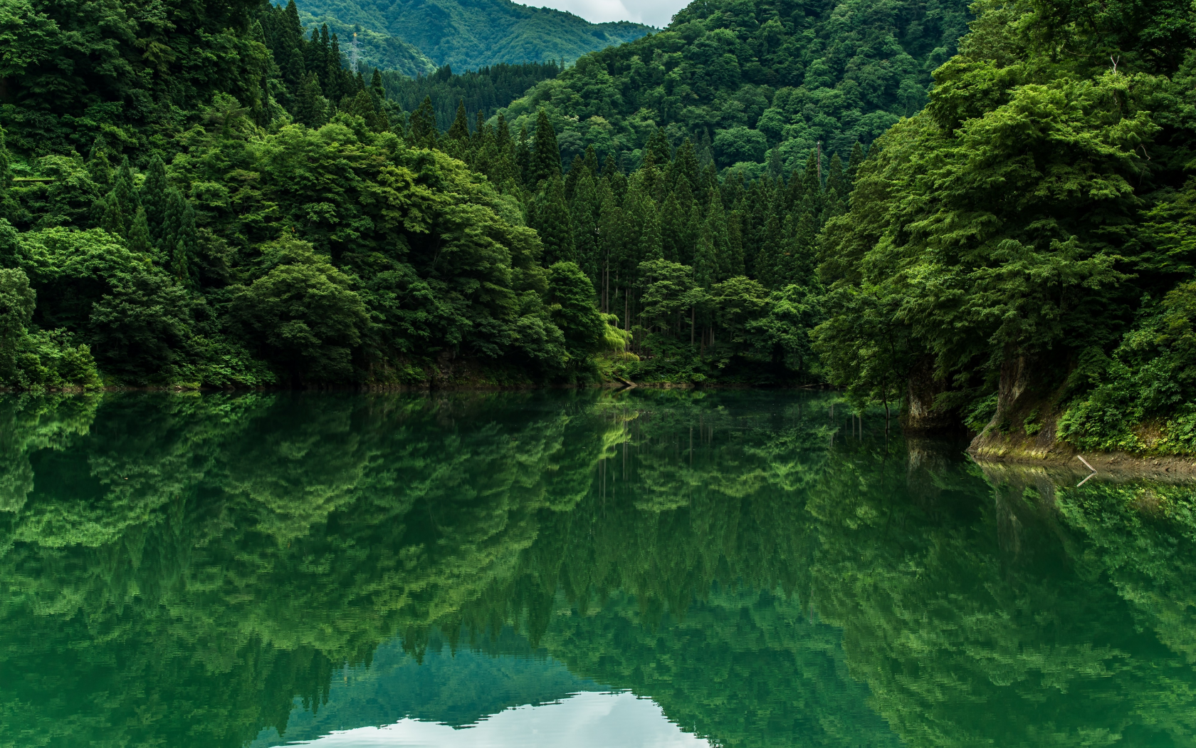 nature, forest, lake, reflection