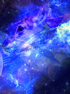 galaxy, digital, universe, space, deer