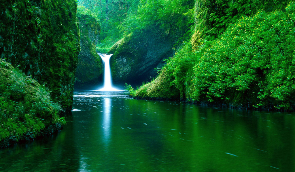 nature, forest, river, waterfall