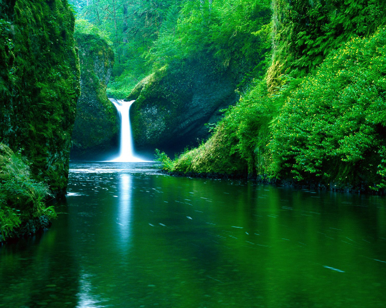 nature, forest, river, waterfall