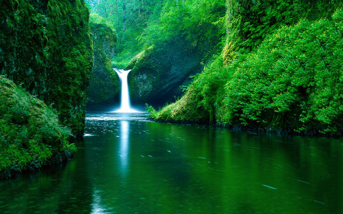 nature, forest, river, waterfall