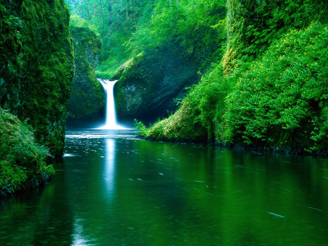 nature, forest, river, waterfall