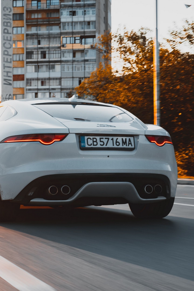 auto, jaguar